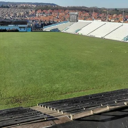 Cricketers View